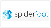 spiderfoot-c